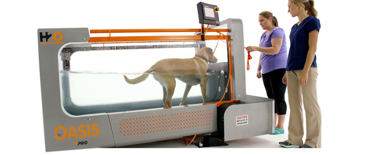 Canine Underwater Treadmills Oasis Underwater Treadmill for dogs H2O