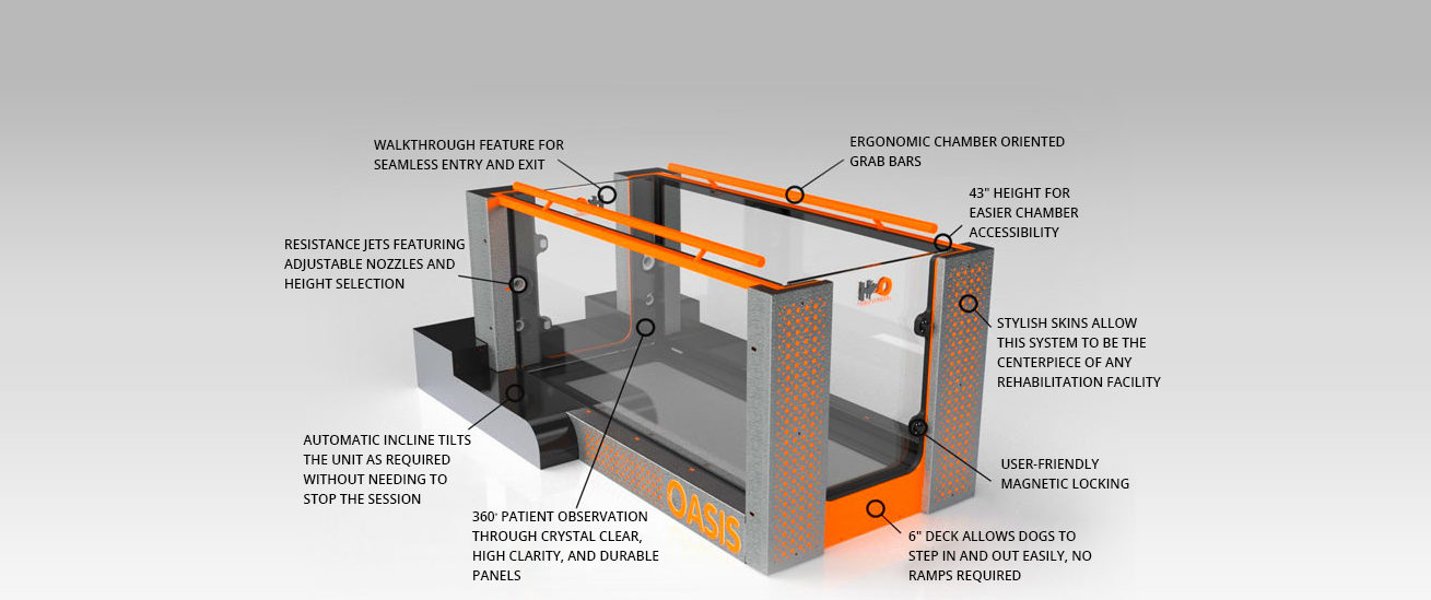 used canine underwater treadmill for sale