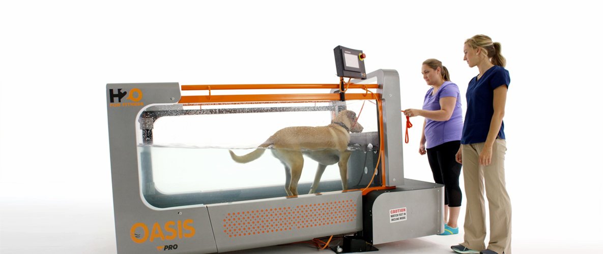 Canine Underwater Treadmill Video H2O For Fitness